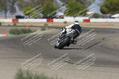 media/Sep-07-2025-Pacific Track Time (Sun) [[a6322260b9]]/A and B Group/Wheelie Bump A and B/